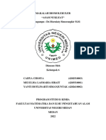 Kel 6 Asam Nukleat Biomolekuler