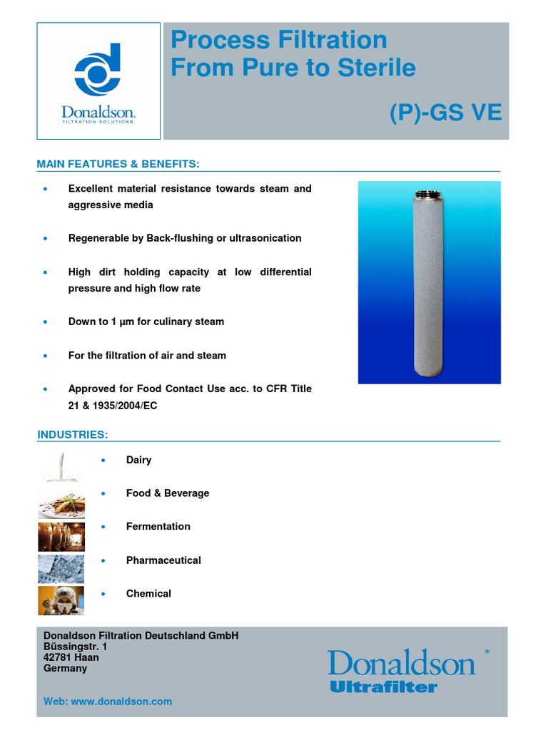 p-gs-ve-steam-filter-elements-pdf-filtration-gases
