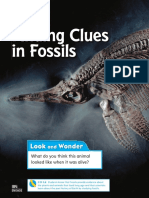 Finding Clues in Fossils: Lesson 2