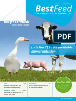 Bestfeed: Lodestar Clas For Profitable Animal Nutrition