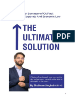 The Ultimate Solution Summary Notes - Paper 4 Law