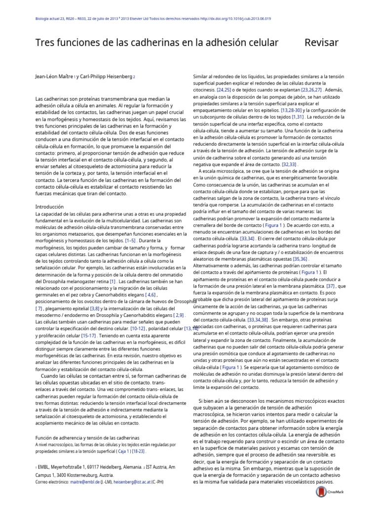 Lectura 2B Three Functions of Cadherins in Cell Adhesion (1) .En - Es ...