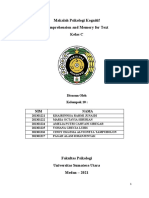 Makalah Psikologi Kognitif