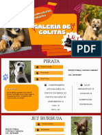 Catálogo de Perros