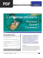 Article_Irrigation_canalaire