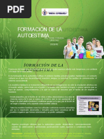 Formación de La Autoestima