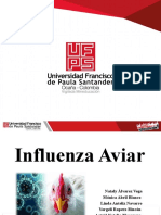 Influenza Aviar, Bioseguridad-1