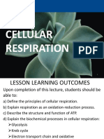 Chapter 2 Cellular Respiration 2018