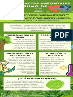 Rainforest Infographic