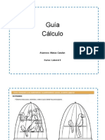 Guía Repaso Cálculo Matías