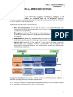 Tema 6. - Embriofetopatías