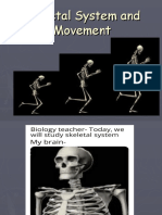 Skeletal System Powerpoint