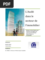 L'Audit Dans Le Secteur de L'immobilier