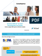 Servicios SEPA 2013-Octubre