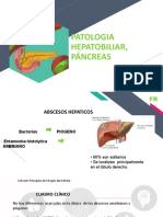 Hepatobiliar Pancreas