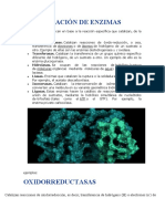 Clasificación de enzimas por reacción catalizada