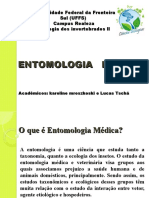 Entomologia Médica: insetos vetores de doenças