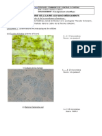 1EnsSci 3175b Sujet Nanomedicaments