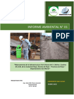 Informe Ambiental