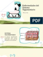 Enfermedades Del Sistema Tegumentario