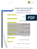 Tarea 01 Ensayo de Campo de Aplicación de Metalurgia - 196659