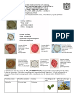 Actividad de Polen