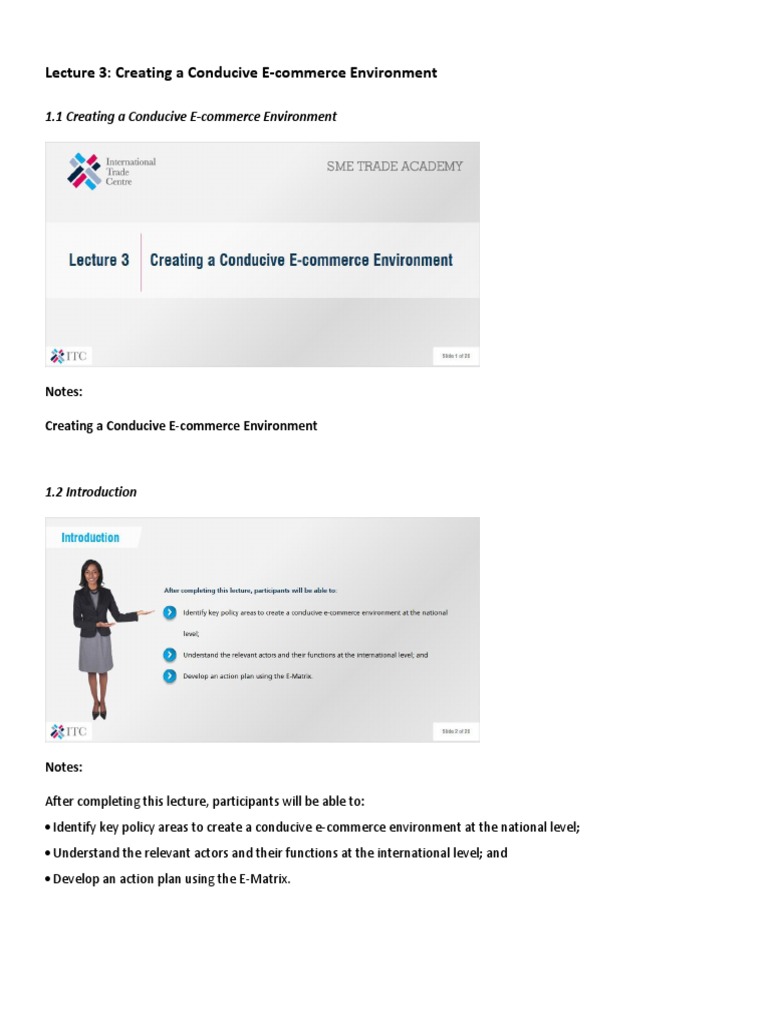 E-commerce Environment Policy Strategies | PDF | E Commerce | Domain Name