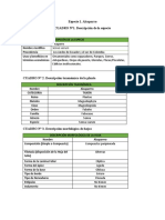 Trabajo Practica - Docx Botnica