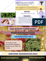 Microbiologia PC2