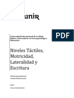 Actividad 1 - Niveles Tactiles VANESSA MONTES