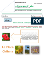 Ciencias 1º - Agosto Clase 1 - Plantas Típicas de Nuestro País