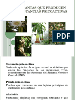 14 Plantas Sicoactivas 2012a 1