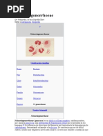 Download Neisseria gonorrhoeae by Johanna Vivar SN57564974 doc pdf