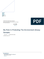 My Role in Protecting The Environment, Essay Sample