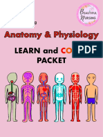 Beautiful Nursing Anatomy & Physiology Cardiovascular System