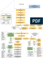 Concept Map Dengue Fever