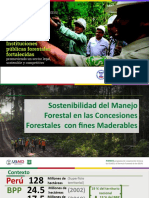 FOREST Sostenibilidad de CFM 111119