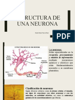 Estructura de Una Neurona