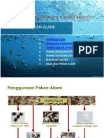 BUDAYA PAKAN ALAMI