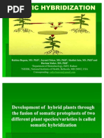Download Somatic Hybridization by Vineet  SN57570912 doc pdf