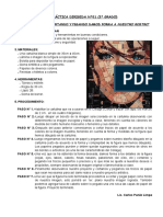 PRÁCTICA D. - COLLAGE - Rostro Humano (3°)