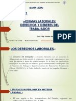 Tema 3 Normas Laborales Derechos y Deberes Del Trabajador