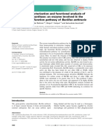 2017 - Structural Characterization and Functional Analysis of Cystathionine B-Synthase An Enzyme Involved in The Reverse Transsulfuration Pathway of Bacillus Anthracis