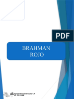 Catalogo Brahman Rojo