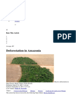 Deforestation Amazonia