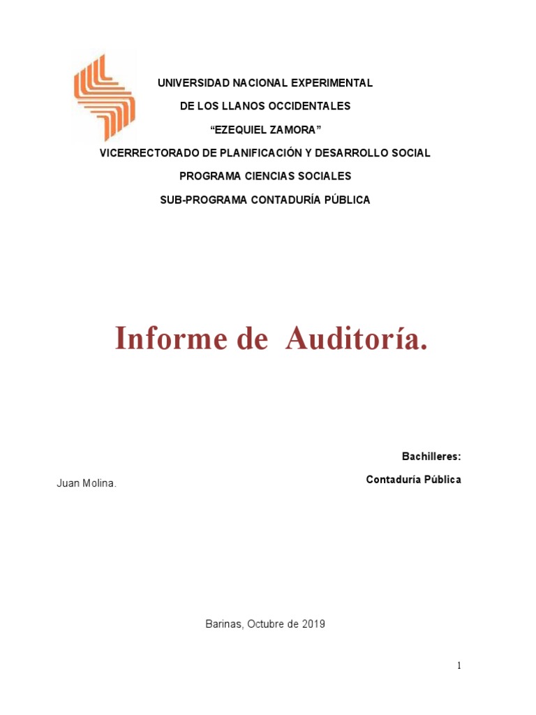 Informe de Auditoria | PDF | Auditoría | Contabilidad