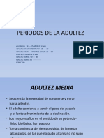 Periodos de La Adultez