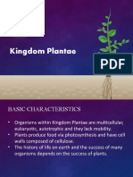 Kingdom Plantae