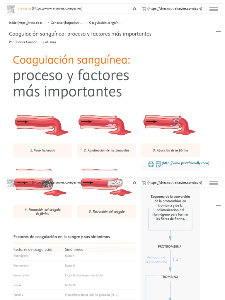 Coagulación Sanguínea - Proceso y Factores Más Importantes | PDF