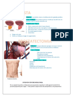 Prostate C To Mia